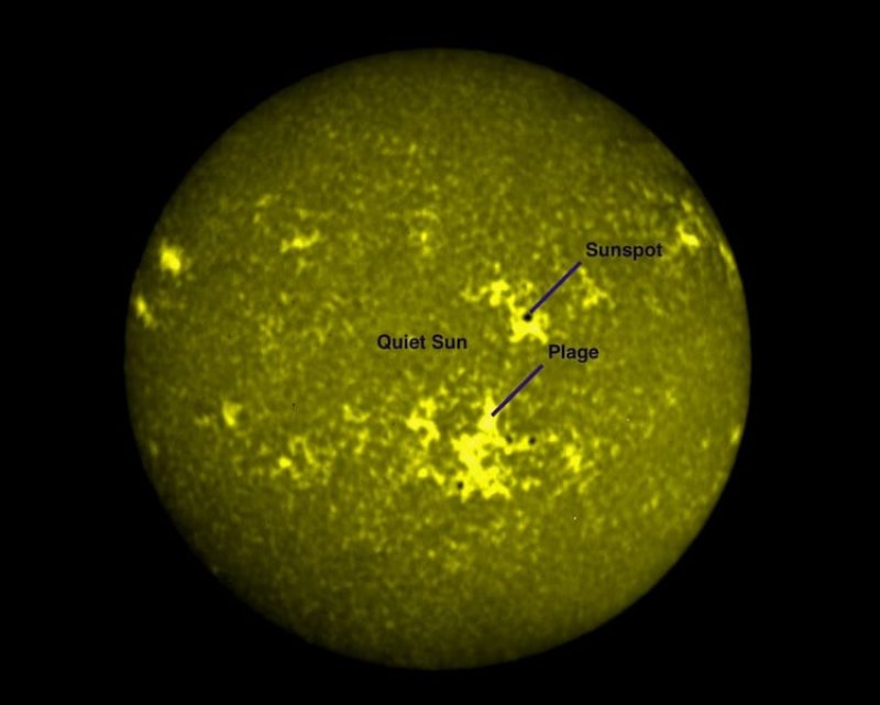 Aditya-L1 has captured the Sun. View the first images taken by the Indian spacecraft here.