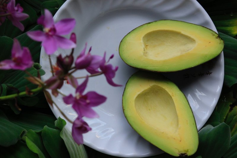 Diet Guide, 7 Foods for Good Heart and Brain Health with Healthy Fats.