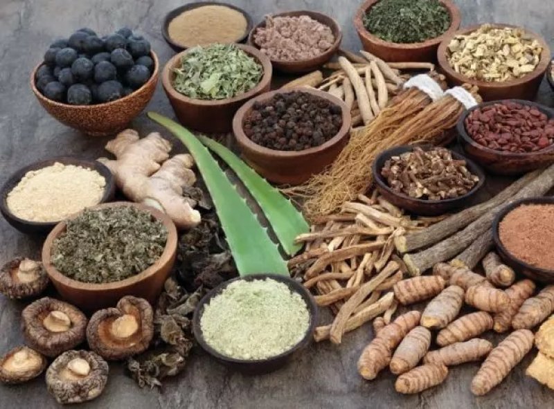 The definitions of diseases in Ayurveda, Unani, and Siddha systems of medicine have been included in the World Health Organization (WHO) index.