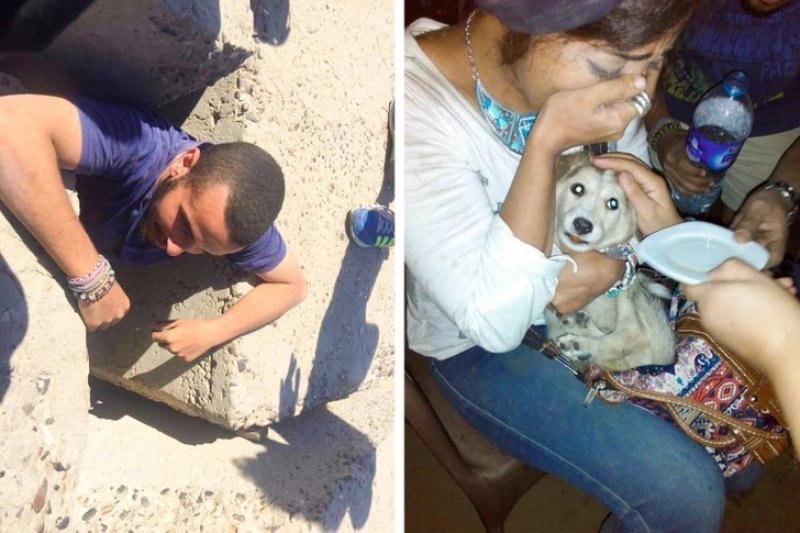 This dog got trapped and the locals fed her for a month. The rescue mission was so complicated, it took 5 days to get her out.